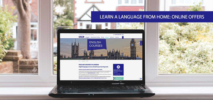 Berlitz Connect (Self Study with Live Online Classes)
